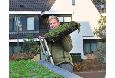 Installieren eines Gründachs mit Kassetten