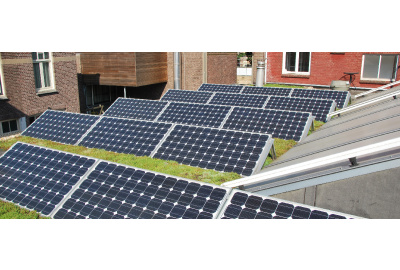 Ein Gründach in Kombination mit Solarmodulen