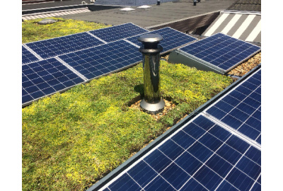 Solarpanels oder ein Gründach?