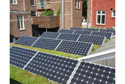 Ein Gründach in Kombination mit Solarmodulen